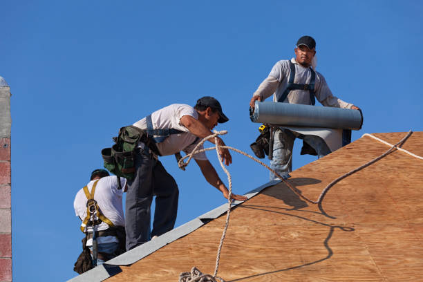Roof Gutter Cleaning in Indian Hills, KY